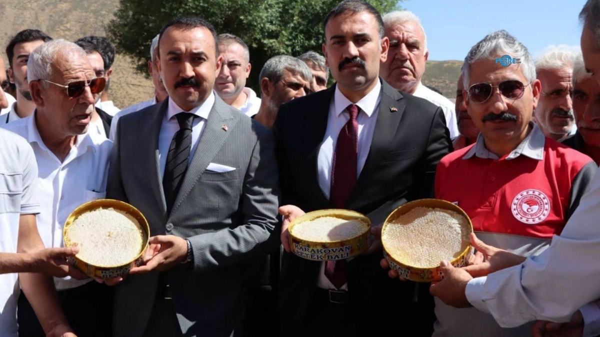 Karagöl'de bal hasadı, Akkan: 'Adıyaman arıcılığını markalaştırmayı hedefliyoruz'